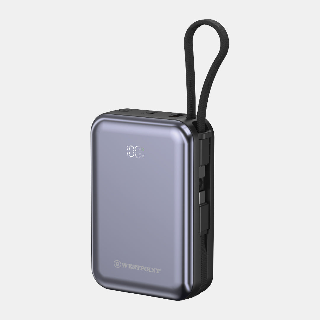 Mega Power Bank WP-2010