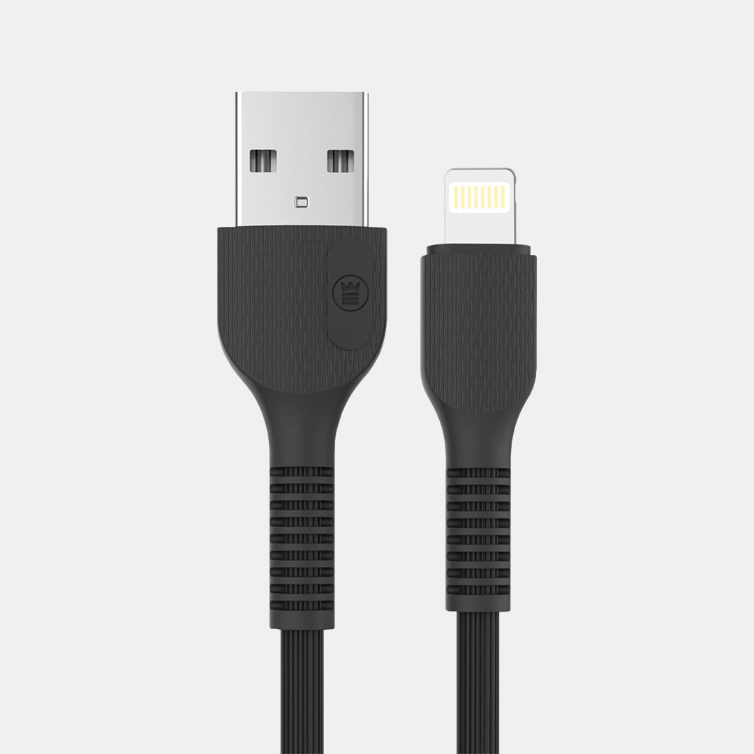 WP-303 (USB-A to Lightning)